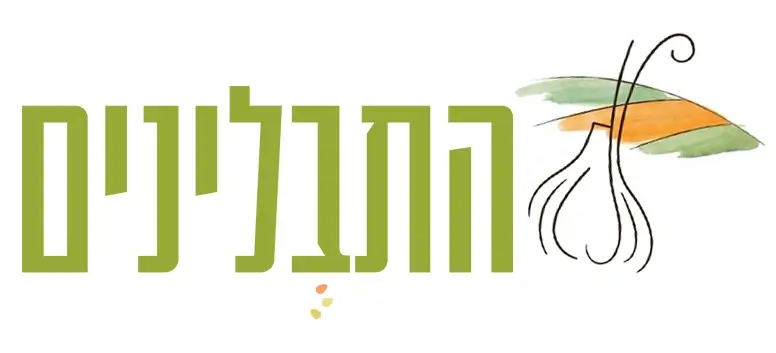 התבלינים קריות